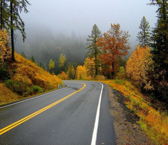 Công văn 3099/QLD-CL năm 2018