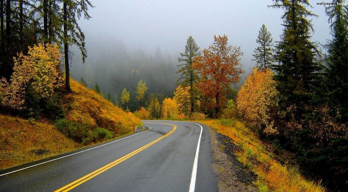 Công văn 3099/QLD-CL năm 2018 bổ sung hồ sơ công bố thuốc có chứng minh TĐSH Công văn 3099/QLD-CL năm 2018