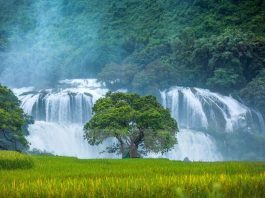 Công văn 2852/QLD-ĐK năm 2018