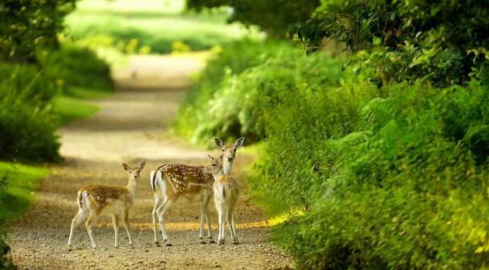 Dự thảo 2 thông tư thay thế thông tư 11 về đấu thầu thuốc Dự thảo 2 thông tư thay thế thông tư 11