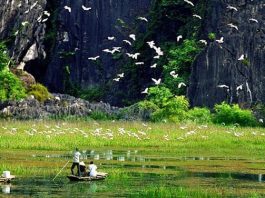 các thuốc đề nghị loại khỏi danh mục