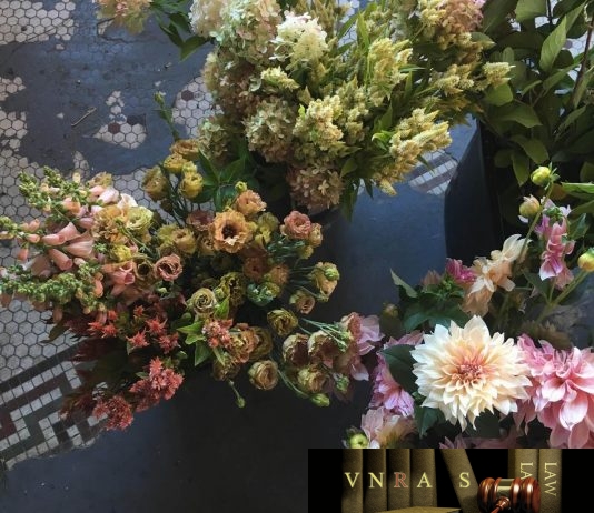 Dự thảo 08 thông tư đăng ký thuốc