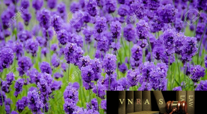 Công văn 250/KH-BYT năm 2018