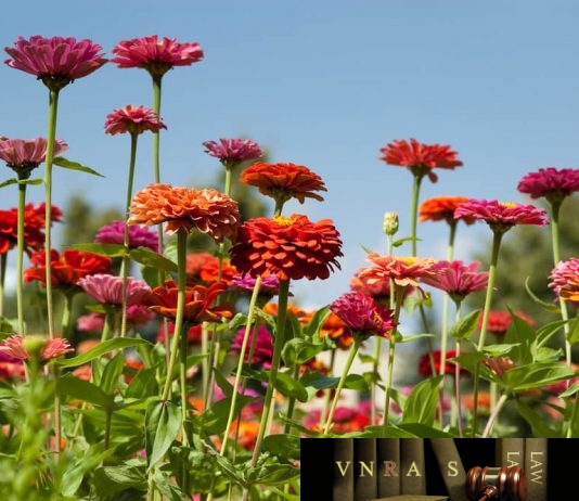 Công văn 4108/QLD-ĐK năm 2018