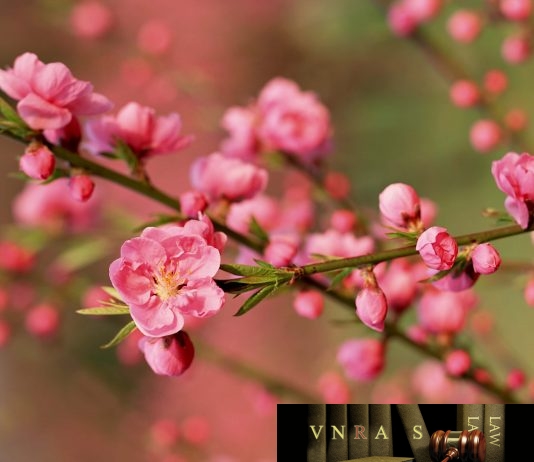 Công văn 4060/QLD-ĐK năm 2018