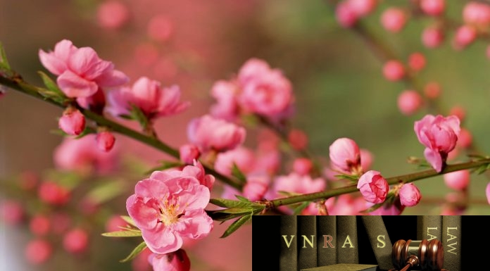 Công văn 4060/QLD-ĐK năm 2018