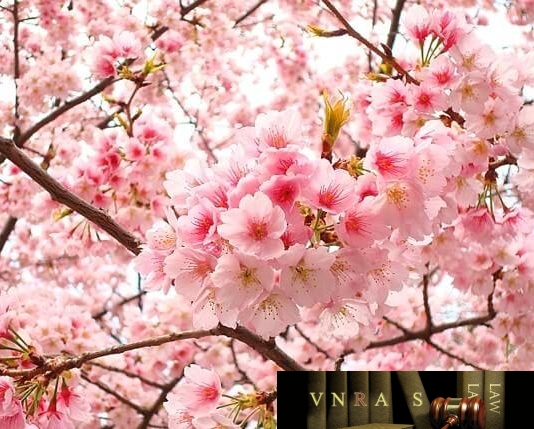 Công văn 1260/TCHQ tăng cường công tác chống buôn lậu