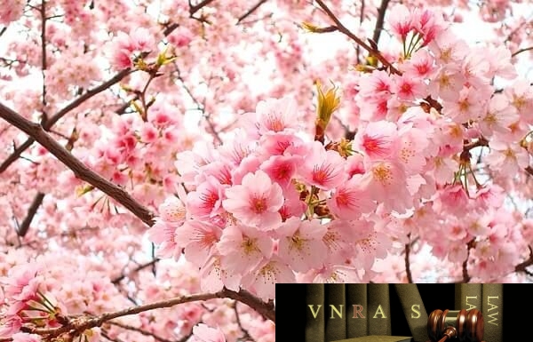 Công văn 1260/TCHQ-ĐTCBL tăng cường công tác chống buôn lậu Công văn 1260/TCHQ tăng cường công tác chống buôn lậu