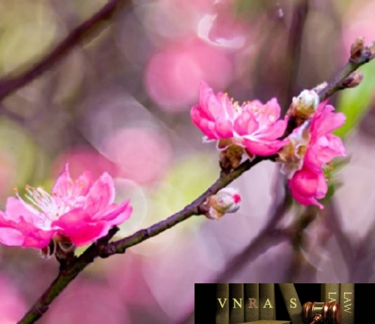 Công văn 102/CNTT-YTĐTI năm 2018