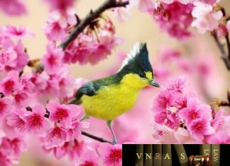 Tổng hợp kê khai thuốc cập nhật ngày 16.3.2018