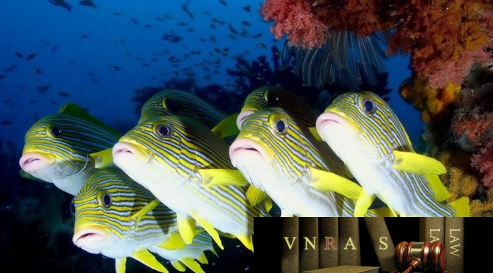 Công văn 4786/QLD-ĐK công bố danh mục NLLT cần thực hiện cấp GPNK