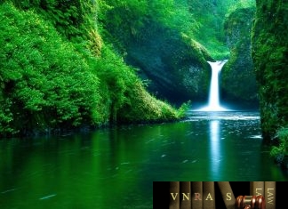 Công văn 1677/BYT-BH hướng dẫn giải quyết một số vấn đề về ứng dụng CNTT trong quản lý