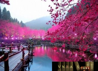 công văn 4436/QLD-ĐK công bố danh mục NLLT phải thực hiện cấp phép nhập khẩu