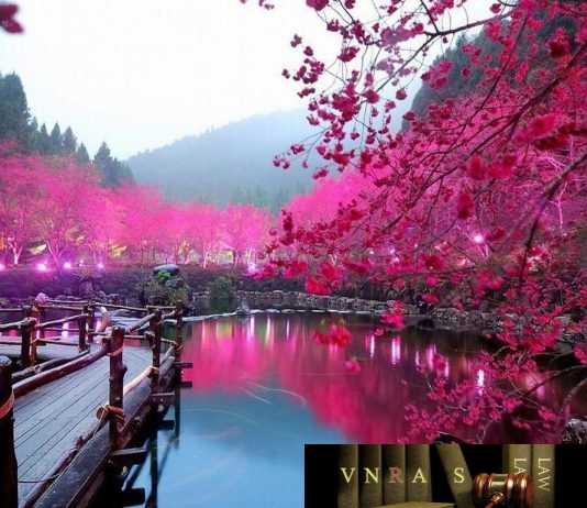 công văn 4436/QLD-ĐK công bố danh mục NLLT phải thực hiện cấp phép nhập khẩu