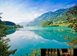 Công văn 1511/TCHQ-GSQL thực hiện nghị định số 15/2018/NĐ/CP