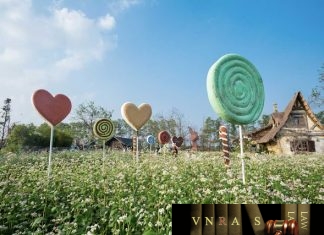 công văn 4203/QLD-ĐK công bố danh mục NLLT không cần GPNK