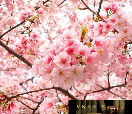 công văn 4206/QLD-ĐK công bố danh mục NLLT cần cấp phép NK