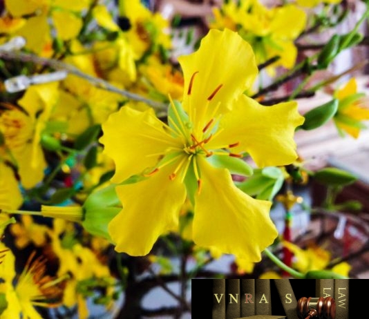 Công văn 4436/QLD-ĐK công bố danh mục NLLT cần cấp phép nhập khẩu