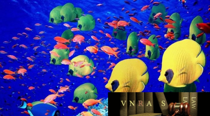 Công văn 4701/QLD-ĐK công bố danh mục NLDC không cần GPNK
