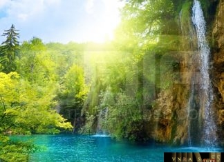 Công văn 1116/BHYT-DVT vướng mắc trong TT Alphachymotrypsin theo BHYT Công văn 1116/BHXH-DVT năm 2018