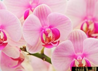 Công văn 6152/QLD-ĐK năm 2018