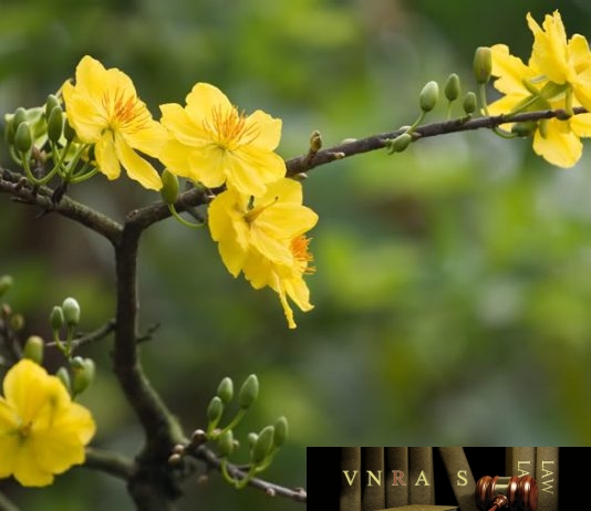Nghị quyết số 19/NQ-CP về việc thí điểm thanh tra chuyên ngành ATTP