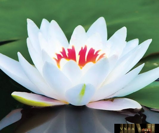 Công văn 6512/QLD-ĐK năm 2018