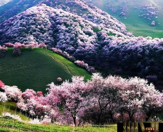 Công văn 6698/QLD-ĐK năm 2018