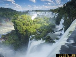 Công văn 6699/QLD-ĐK năm 2018