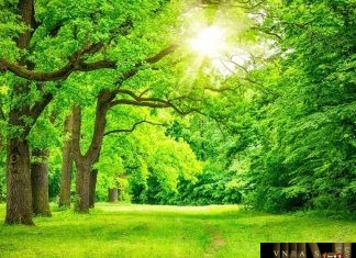 Công văn 6701/QLD-ĐK năm 2018