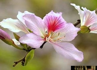 Công văn 6702/QLD-ĐK năm 2018