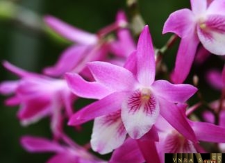 Công văn 7063/QLD-KD năm 2018