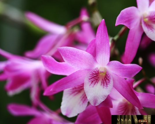 Công văn 7063/QLD-KD năm 2018