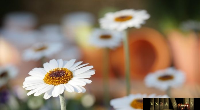 KẾ HOẠCH TRIỂN KHAI CÔNG TÁC HẬU KIỂM AN TOÀN THỰC PHẨM 2018