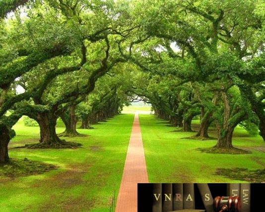 Quyết định 2268/QĐ-BYT năm 2018