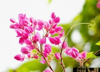 Tổng hợp kết quả trúng thầu năm 2017 - 2018