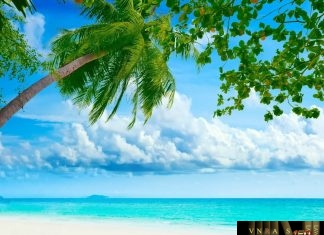 Công văn 5638/QLD-ĐK công bố danh mục NLLT không phải cấp phép NK của thuốc trong nước Công văn 5638/QLD-ĐK công bố danh mục NLLT không phải cấp phép NK của thuốc trong nước