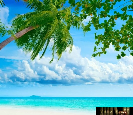 Công văn 5638/QLD-ĐK công bố danh mục NLLT không phải cấp phép NK của thuốc trong nước