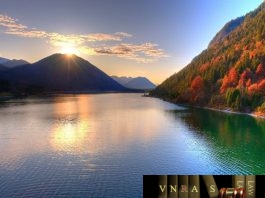 Công văn 606/QĐ-BYT ban hành Chương trình hành động của Bộ Y tế