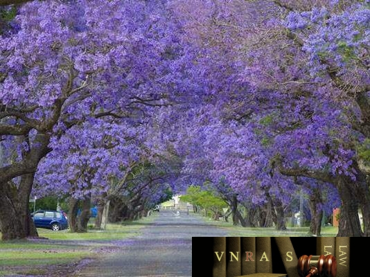 Công văn 4863/QLD-ĐK công bố danh mục NLLT phải cấp phép NK