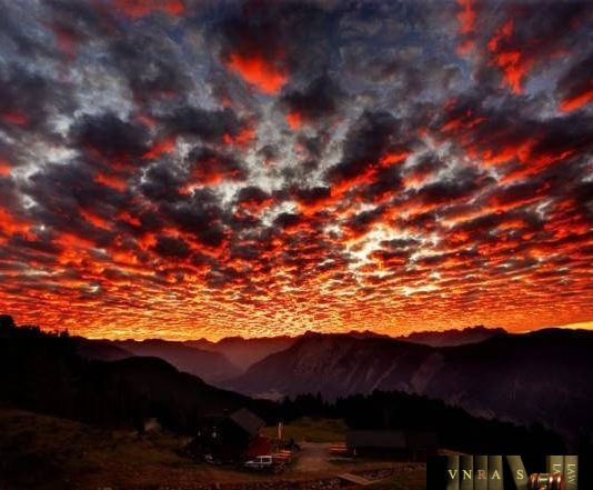 Công văn 242/QĐ-QLD ban hành danh mục 1 sinh phẩm được cấp số ĐKLH