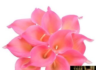 Công văn 8243/QLD-ĐK Danh mục nguyên liệu phải thực hiện cấp phép NK