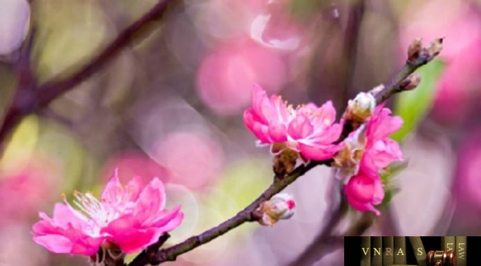 LUẬT ĐIỀU ƯỚC QUỐC TẾ SỐ 108/2016/QH13