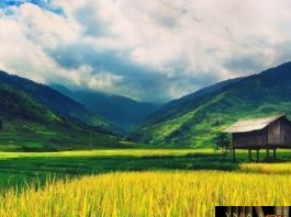 Công văn 2821/QĐ-BYT ban hành danh mục sinh phẩm chẩn đoán invitro được cấp SĐK lưu hành