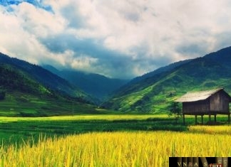 Công văn 2821/QĐ-BYT ban hành danh mục sinh phẩm chẩn đoán invitro được cấp SĐK lưu hành