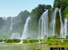 Công văn 7803/QLD-ĐK công bố danh mục NLLT không cần cấp phép NK