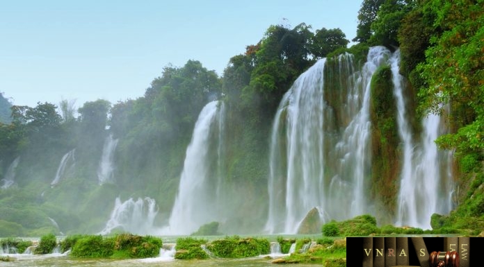 Công văn 7803/QLD-ĐK công bố danh mục NLLT không cần cấp phép NK