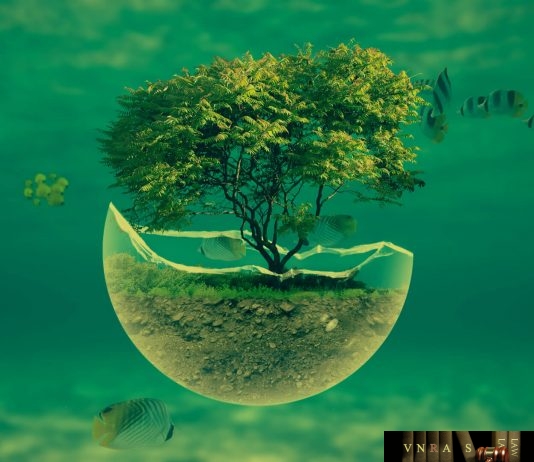 Công văn 7385/QLD-ĐK công bố danh mục NLLT phải cấp giấy phép nhập khẩu của thuốc trong nước đã có số ĐKLH