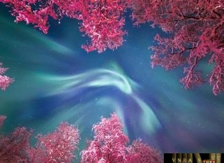 Văn bản hợp nhất 05/VBHN-BYT quy định nội dung hệ thống chỉ tiêu thống kê ngành Y tế