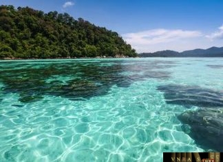 Công văn 3354/BYT-DP về việc triển khai vắc xin trong tiêm chủng mở rộng tại bệnh viện Công văn 3354/BYT-DP về việc triển khai vắc xin trong tiêm chủng mở rộng tại bệnh viện